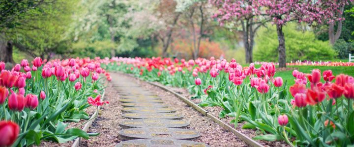 Best Deals On Landscape Supplies